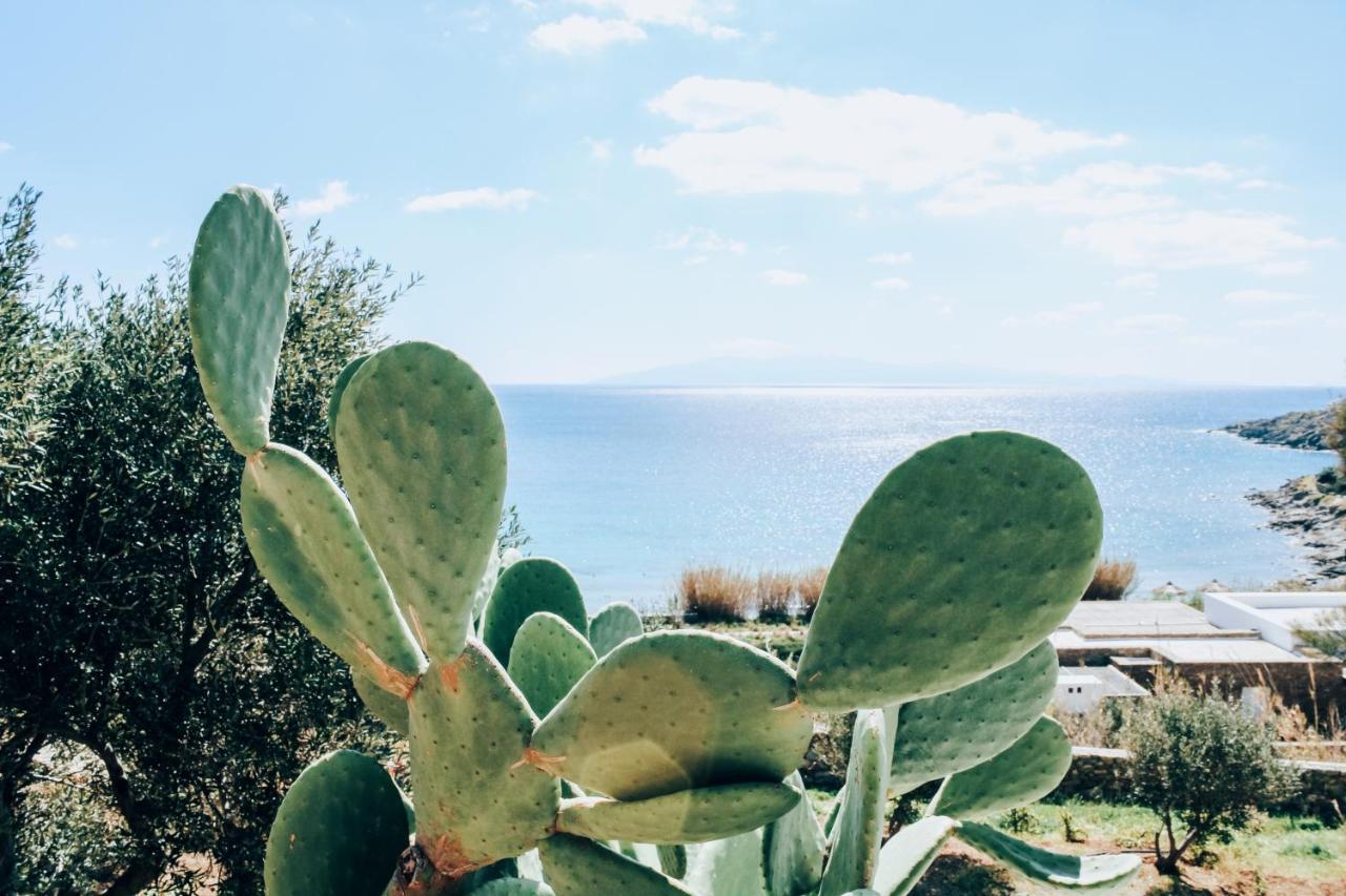 The Elaia House Mykonos Villa Ornósz Kültér fotó